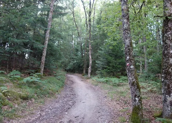 Maison Calme Pès De Conques En Rouergue Hébergement de vacances *