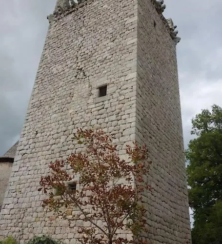 Maison Calme Pès De Conques En Rouergue Hébergement de vacances